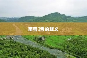 南蛮鴃舌的释义