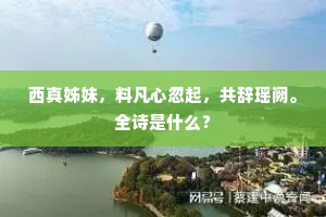 西真姊妹，料凡心忽起，共辞瑶阙。全诗是什么？