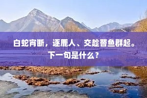 白蛇宵断，逐鹿人、交趁罾鱼群起。下一句是什么？