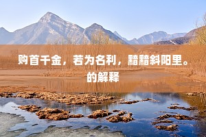 购首千金，若为名利，黯黯斜阳里。的解释