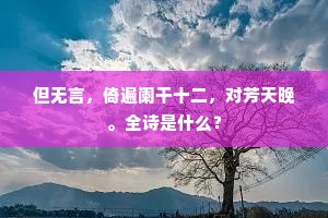 但无言，倚遍阑干十二，对芳天晚。全诗是什么？