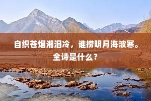 自织苍烟湘泪冷，谁捞明月海波寒。全诗是什么？