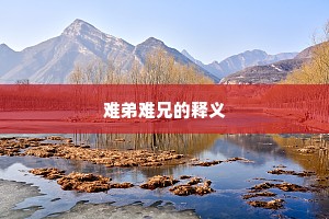 难弟难兄的释义