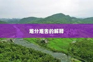 难分难舍的解释