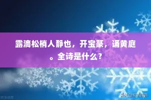 露滴松梢人静也，开宝篆，诵黄庭。全诗是什么？