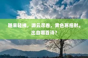 晚来轻拂，游云尽卷，霁色寒相射。出自哪首诗？