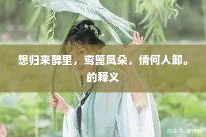 想归来醉里，鸾篦凤朵，倩何人卸。的释义