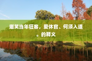堪笑当年狂客，爱休官、何须入道。的释义