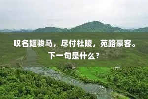 叹名姬骏马，尽付杜陵，苑路豪客。下一句是什么？