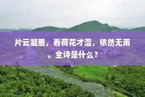 片云凝墨，看荷花才湿，依然无雨。全诗是什么？
