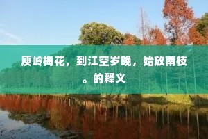 庾岭梅花，到江空岁晚，始放南枝。的释义