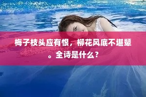 梅子枝头应有恨，柳花风底不堪颦。全诗是什么？