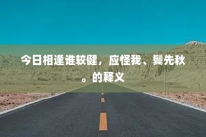 今日相逢谁较健，应怪我、鬓先秋。的释义