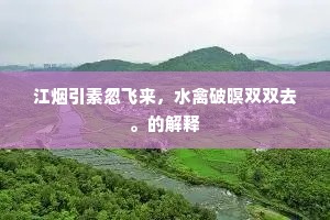江烟引素忽飞来，水禽破暝双双去。的解释