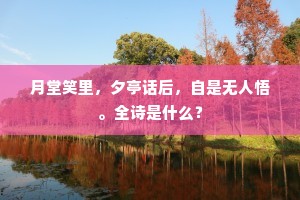 月堂笑里，夕亭话后，自是无人悟。全诗是什么？