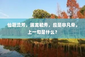 仙籍流芳，瑞龙毓秀，应是非凡骨。上一句是什么？