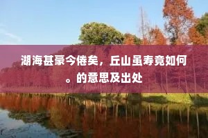 湖海甚豪今倦矣，丘山虽寿竟如何。的意思及出处