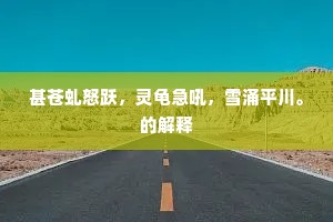 甚苍虬怒跃，灵龟急吼，雪涌平川。的解释