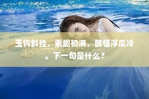 玉钩斜挂，素蟾初满，醉惬浮瓜冷。下一句是什么？