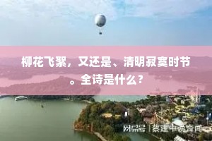 柳花飞絮，又还是、清明寂寞时节。全诗是什么？
