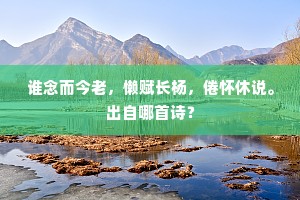 谁念而今老，懒赋长杨，倦怀休说。出自哪首诗？
