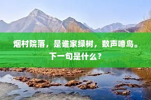 烟村院落，是谁家绿树，数声啼鸟。下一句是什么？