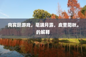 向宾筵游戏，毫端月露，皮里阳秋。的解释
