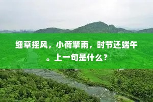 细草摇风，小荷擎雨，时节还端午。上一句是什么？