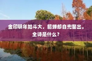 金印明年如斗大，貂蝉却自兜鍪出。全诗是什么？