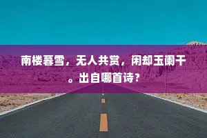 南楼暮雪，无人共赏，闲却玉阑干。出自哪首诗？