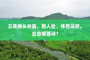 三弄楼头长笛，愁人处、休苦高吹。出自哪首诗？