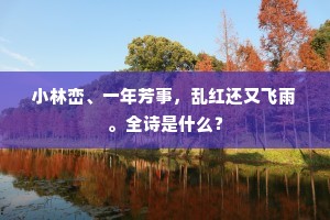 小林峦、一年芳事，乱红还又飞雨。全诗是什么？
