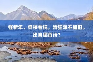 怪新年、倚楼看镜，清狂浑不如旧。出自哪首诗？
