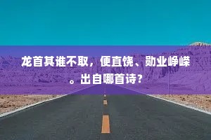 龙首其谁不取，便直饶、勋业峥嵘。出自哪首诗？