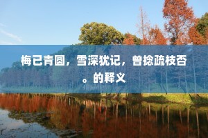 梅已青圆，雪深犹记，曾捻疏枝否。的释义