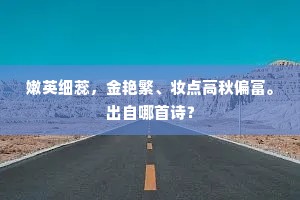 嫩英细蕊，金艳繁、妆点高秋偏富。出自哪首诗？