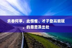 负春何事，此恨惟、才子登高能赋。的意思及出处