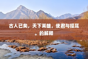 古人已矣，天下英雄，使君与操耳。的解释