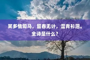 笑多情司马，留春无计，湿青衫泪。全诗是什么？