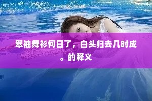 翠袖舞衫何日了，白头归去几时成。的释义