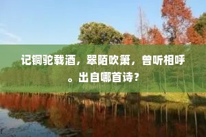 记铜驼载酒，翠陌吹箫，曾听相呼。出自哪首诗？