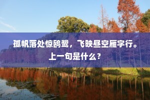 孤帆落处惊鸥鹭，飞映昼空雁字行。上一句是什么？