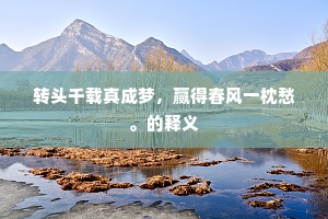 转头千载真成梦，赢得春风一枕愁。的释义