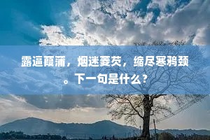露逼葭蒲，烟迷菱芡，缩尽寒鸦颈。下一句是什么？