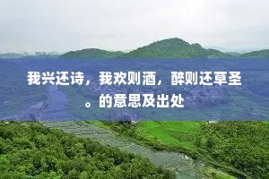 我兴还诗，我欢则酒，醉则还草圣。的意思及出处