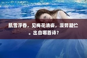 肌雪浮香，见梅花清姿，漫劳凝伫。出自哪首诗？