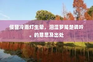 侵窗冷雨灯生晕，泪湿罗笺楚调吟。的意思及出处