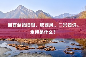 回首琵琶旧恨，叹西风、□兴如许。全诗是什么？