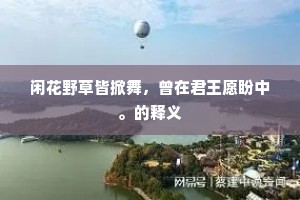 闲花野草皆掀舞，曾在君王愿盼中。的释义