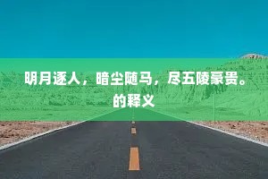 明月逐人，暗尘随马，尽五陵豪贵。的释义